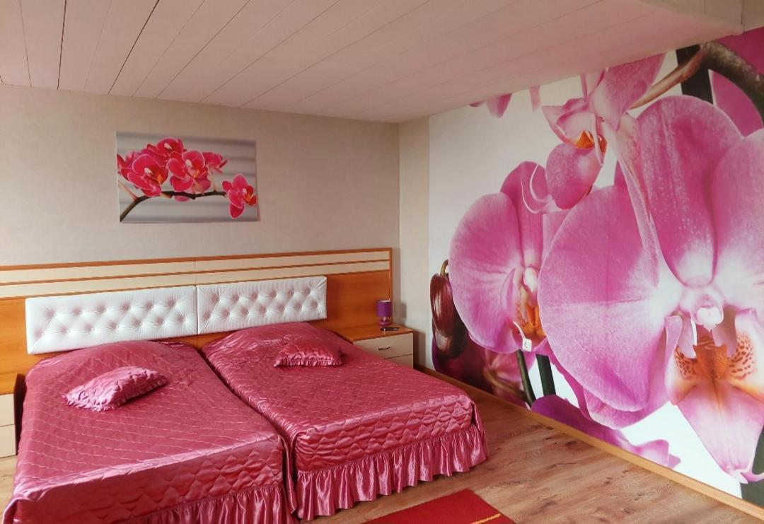 דובריץ Hotel Dobrudja מראה חיצוני תמונה