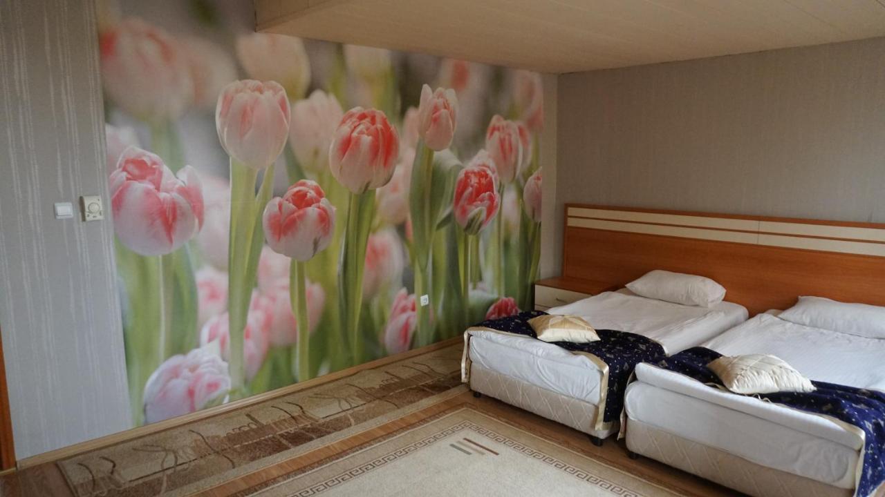 דובריץ Hotel Dobrudja מראה חיצוני תמונה
